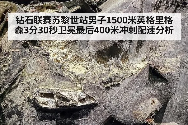 钻石联赛苏黎世站男子1500米英格里格森3分30秒卫冕最后400米冲刺配速分析
